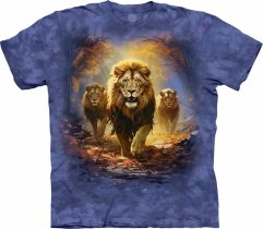 King's Parade Lion - The Mountain