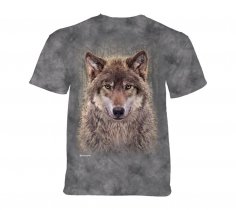 Grey Wolf Forest - The Mountain Junior