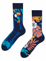 Tropical Toucan - Socks Good Mood