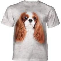 Cavalier King Charles Spaniel - The Mountain