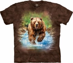 Bear Run - The Mountain