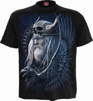 Odin's Warrior - Spiral