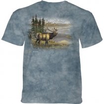 Elk - The Mountain