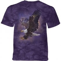 Eagle Violet Sky - The Mountain