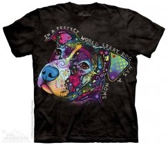 Perfect World - Pit Bull - The Mountain