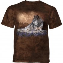 Distant Mountain - The Mountain