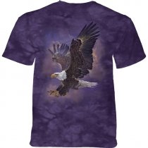 Born To Fly Eagle - The Mountain