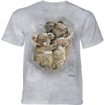 Koalas - The Mountain