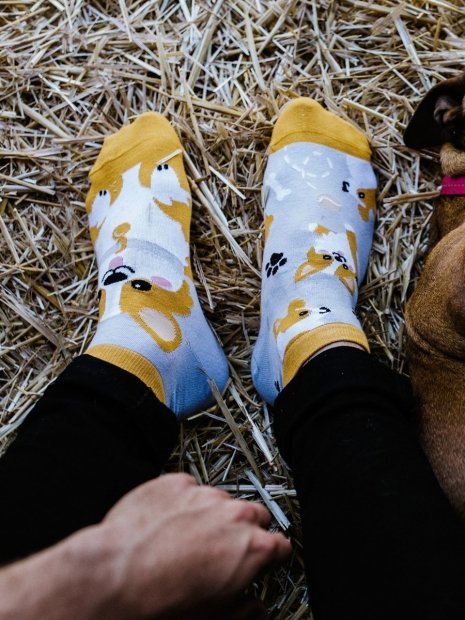 Pes Corgi - Krátké Ponožky Good Mood
