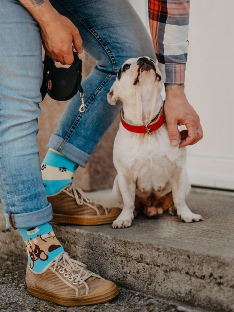 Psi a Pruhy - Ponožky Good Mood