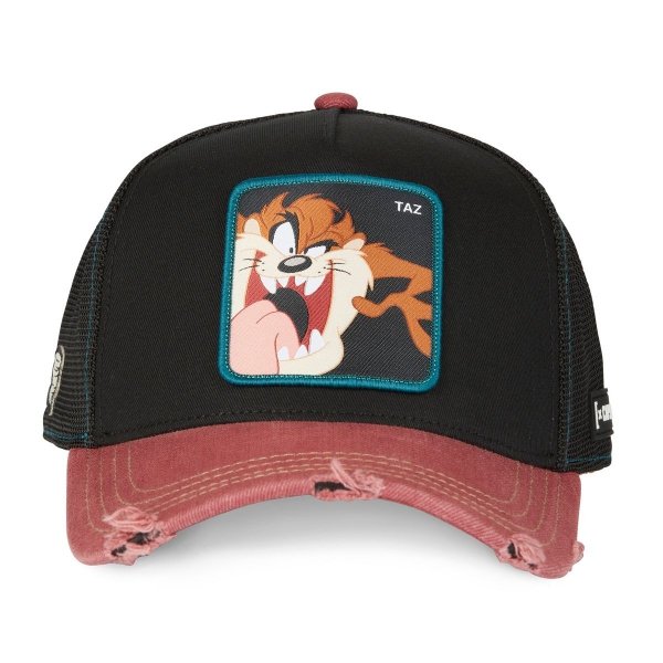 Looney Tunes Taz Trucker  - Kšiltovka Capslab