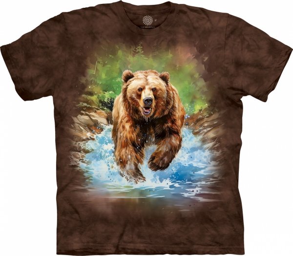 Bear Run - The Mountain