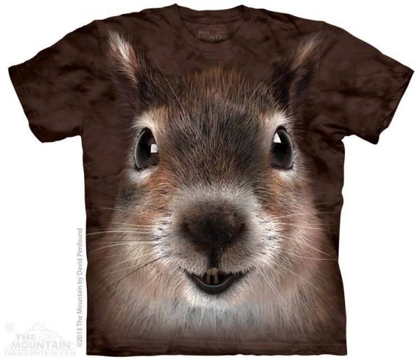 Squirrel Face – The Mountain