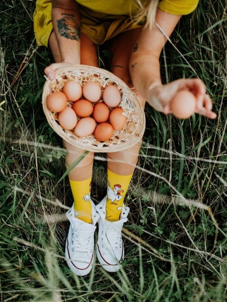 Chicken or Egg - Socks Good Mood