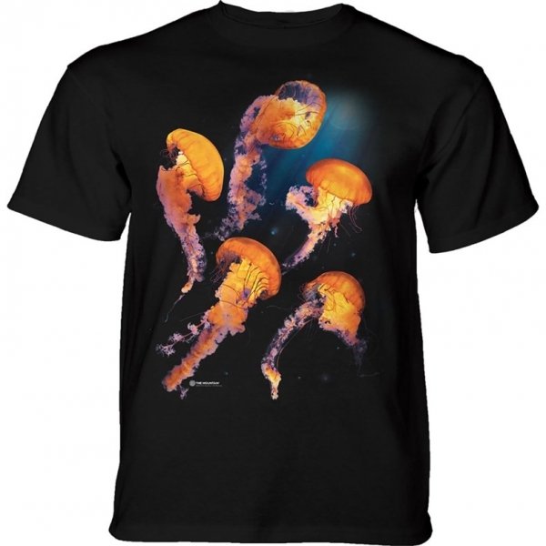 Pacific Nettle Jellyfish - The Mountain
