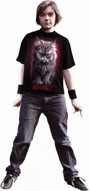 Anger Mangment - Junior Spiral