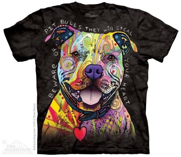 Beware of Pit Bulls  - The Mountain