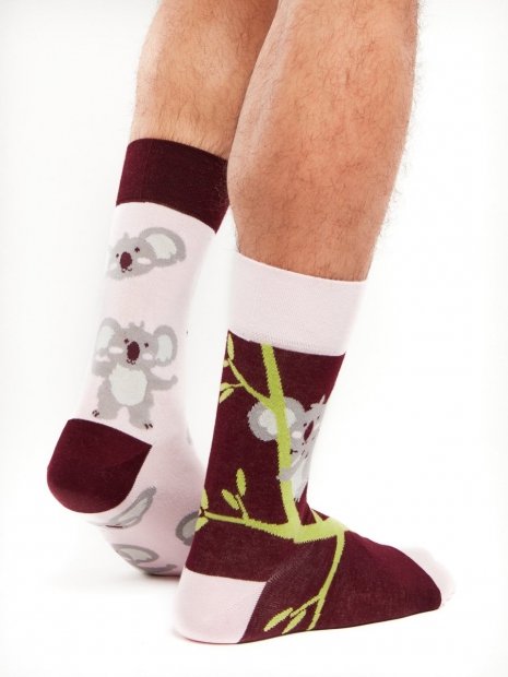 Koala - Socks Good Mood