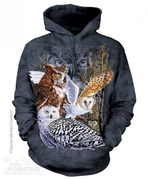 Find 11 Owls - Bluza The Mountain