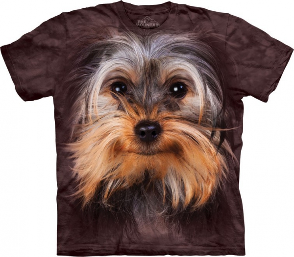 Yorkshire Terrier Face -  The Mountain