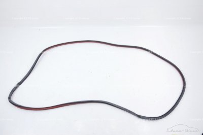 Bentley Continental Flying Spur 2006 Rear right outer door seal gasket