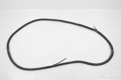 Bentley Continental Flying Spur 2006 Rear left door seal gasket