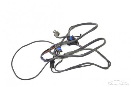 Ferrari 456 GT F116 Wiring harness cables loom