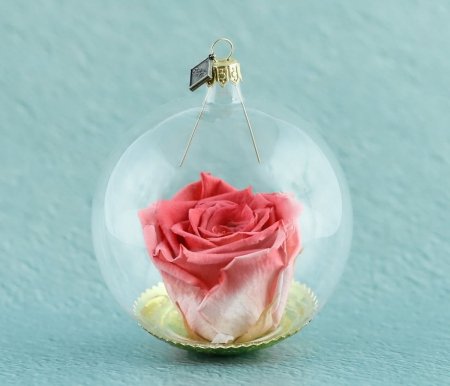 Natürliche haltbare Rose in einer Glaskugel - Dunkles Lachsrosa schattiert