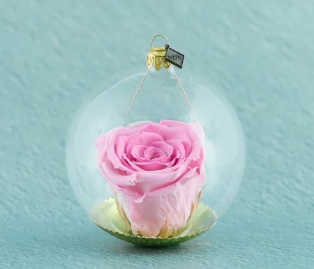 Natürliche haltbare Rose in einer Glaskugel - Rosa