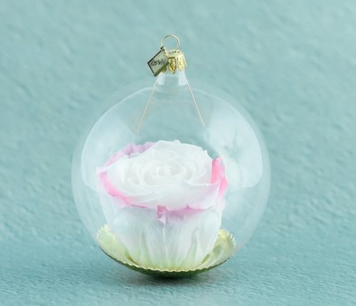 Natürliche haltbare Rose in einer Glaskugel - Weiß und Rosa