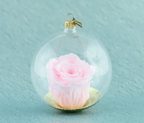 Natürliche haltbare Rose in einer Glaskugel - Blasses Rosa