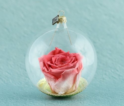 Natürliche haltbare Rose in einer Glaskugel - Dunkles Lachsrosa schattiert
