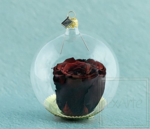 Natürliche haltbare Rose in einer Glaskugel - Weinrote