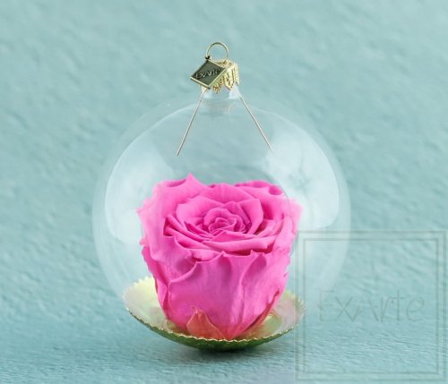 Natürliche haltbare Rose in einer Glaskugel - Rosa Magenta