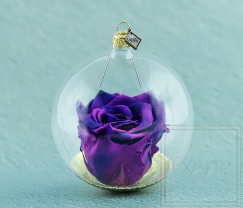 Natürliche haltbare Rose in einer Glaskugel - Violett schattiert