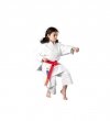 Karatega - kimono do karate Hayashi Reikon WKF
