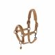 Kantar DOUBLE PIN VELVET JEWEL Platinum 2023 - Eskadron - cognac