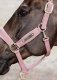 Kantar Velvet - Kentucky - old rose