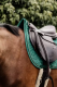 Potnik Velvet - Kentucky - dark green