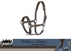 Kantar PIN BUCKLE GLOSSY DESSIN - PLATINUM EDITION 2020/21 - Eskadron - havanabrown