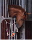 Zabawka dla konia bawełniana lina - QHP - horse/unicorn/carrot