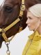 Kantar PIN BUCKLE - Classic Sports A/W 21 - Eskadron - vintage gold