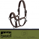 Kantar DOUBLE PIN GLOSSY Platinum 2024 - Eskadron - teak brown