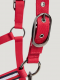 Kantar LINCOLN - primary red - Tommy Hilfiger Equestrian 