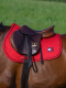 Potnik HARVARAD VVS - primary red - Tommy Hilfiger Equestrian