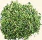 Sieczka z lucerny niemelasowana 10kg - Sukces