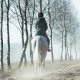 Kurtka Spirit Elaine damska - HORZE 