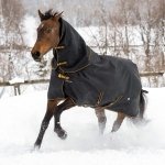 Derka padokowa z odpinanym kołnierzem 50g 1200D IRISH - Bucas - black/gold