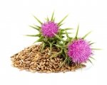 Ostropest plamisty 2,5 kg - EQUIHERBS 
