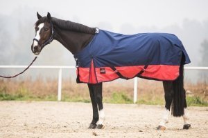 DWIGHT DRUICK,AOR,TOTO,Y PORGYカヴァー DWIGHT DRUICK,AOR,TOTO,GEORGY PORGYカヴァー Dwight Druick